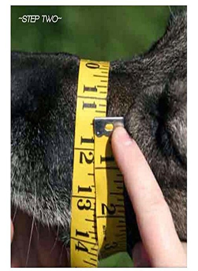All4Pets Plastic Muzzle 5 No - Image 4